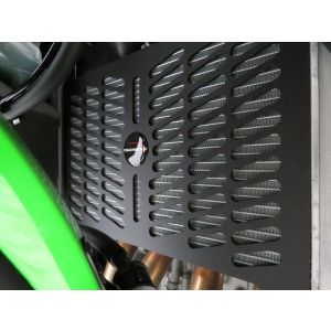 KAWASAKI ,ZX-4RR, 23-26,ZX-4R, 23-25,ZX-25R, 20-25 (PLASTIC)